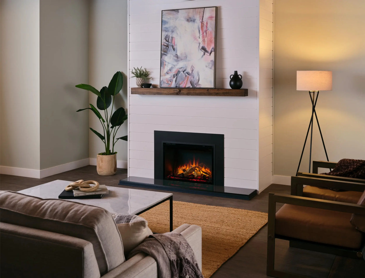 Electric Fireplace Inserts