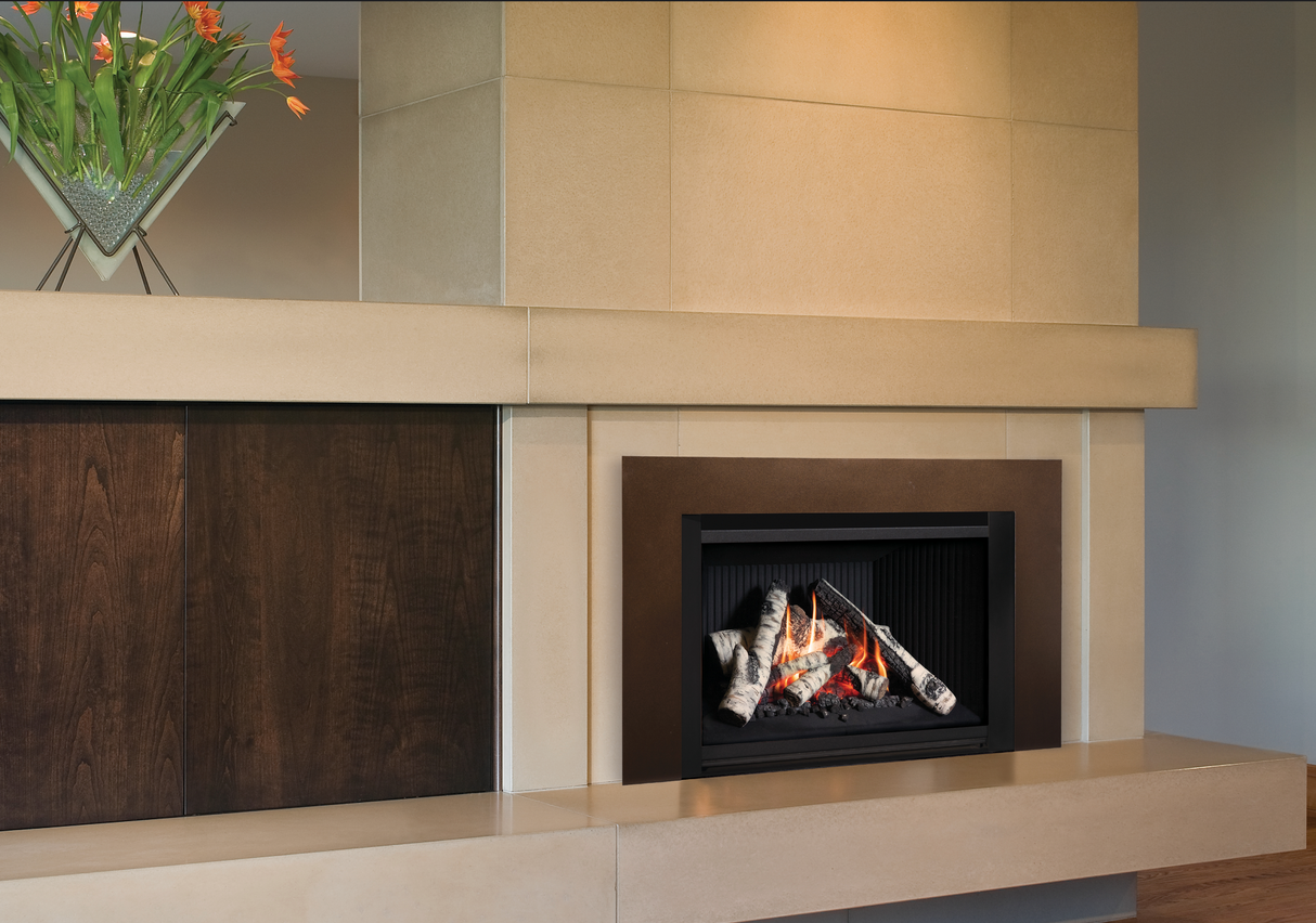 G4 Gas Insert (Logs) - Fireplace Canada
