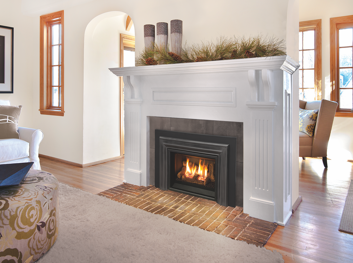 E20 Gas Fireplace Insert - Fireplace Canada