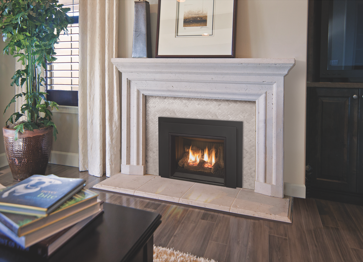 E20 Gas Fireplace Insert - Fireplace Canada