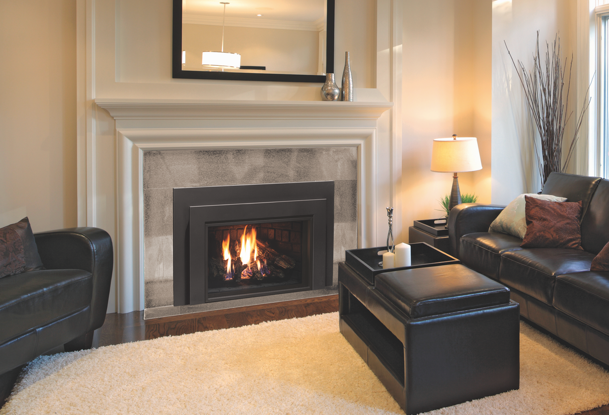 E33 Gas Fireplace Insert - Fireplace Canada
