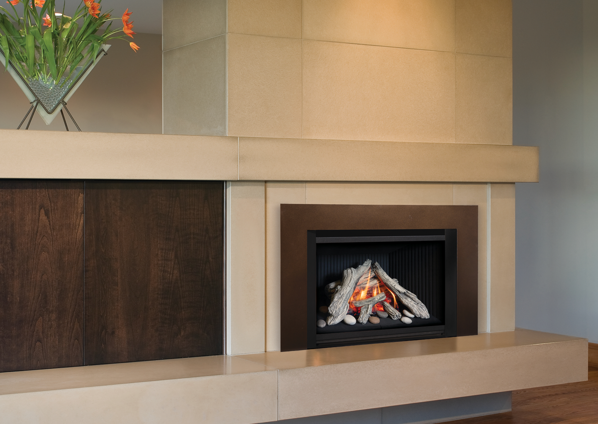 G4 Gas Insert (Logs) - Fireplace Canada