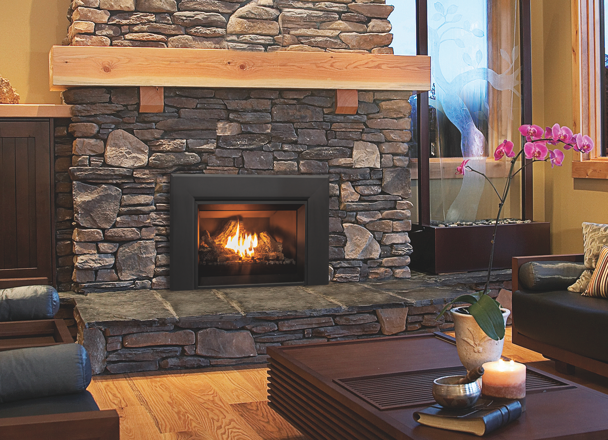 E25 Gas Fireplace Insert - Fireplace Canada