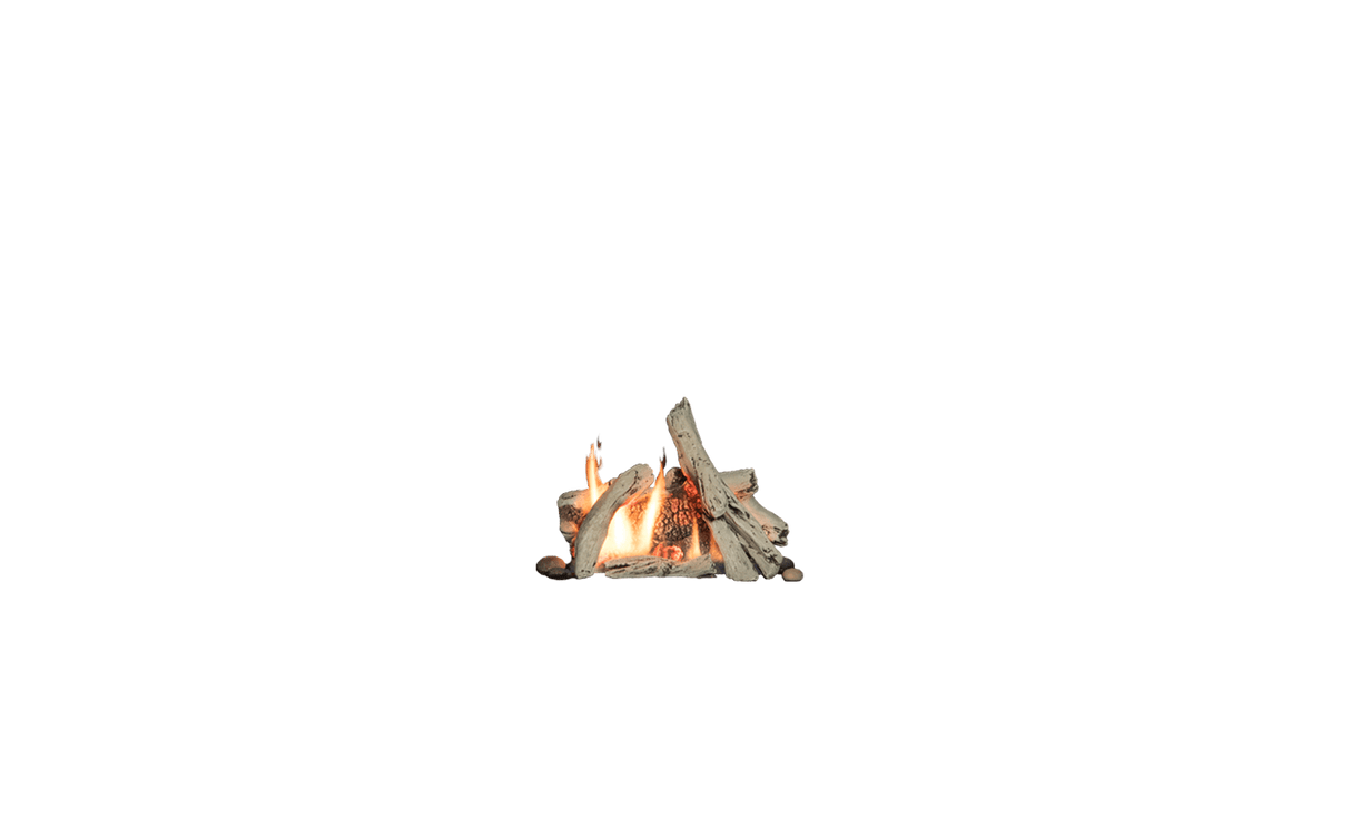 Portrait ZC Fuel Bed