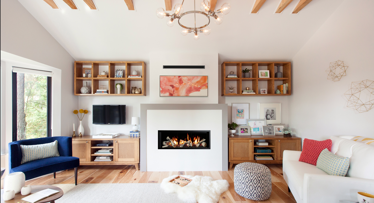 L1 DIRECT VENT GAS FIREPLACE