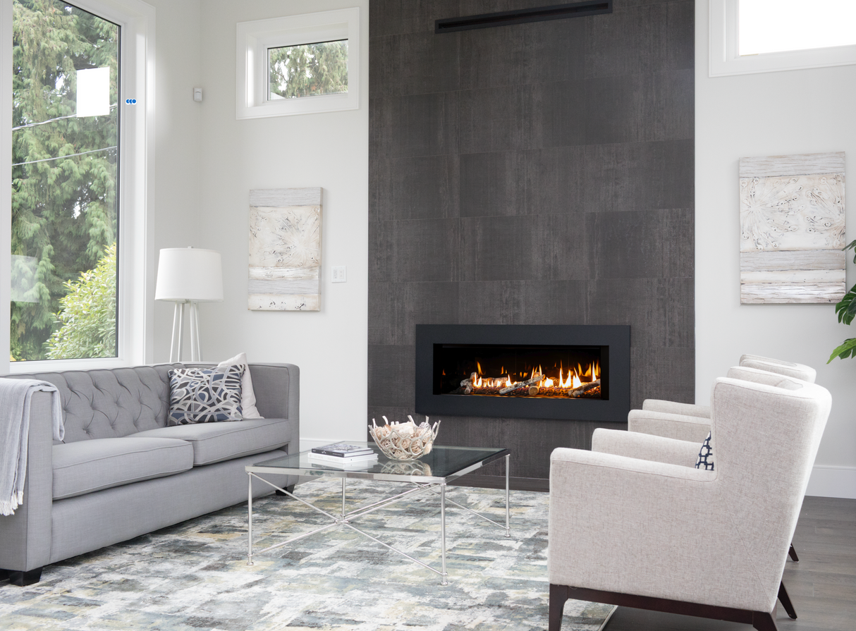 L2 DIRECT VENT GAS FIREPLACE