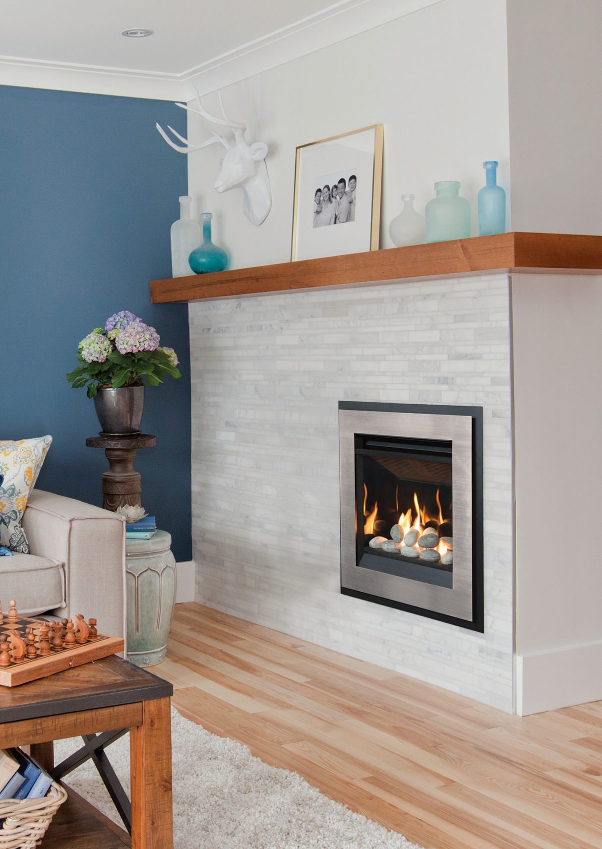 Portrait Gas Fireplace
