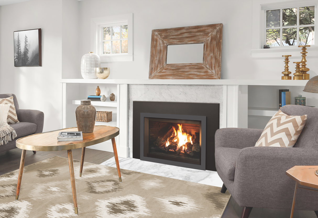 E30 Gas Fireplace Insert