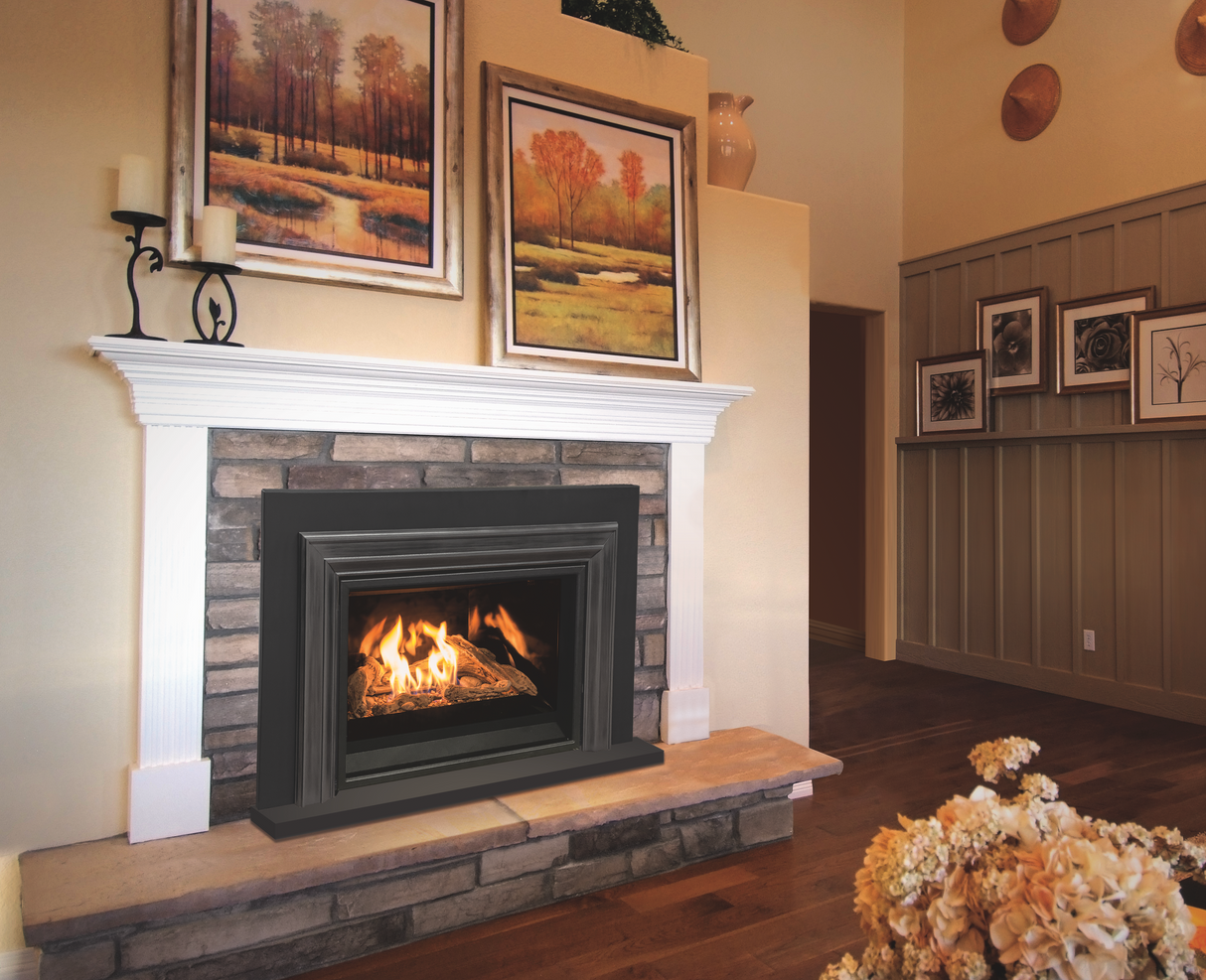 E30 Gas Fireplace Insert