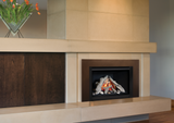G4 Gas Insert (Logs)