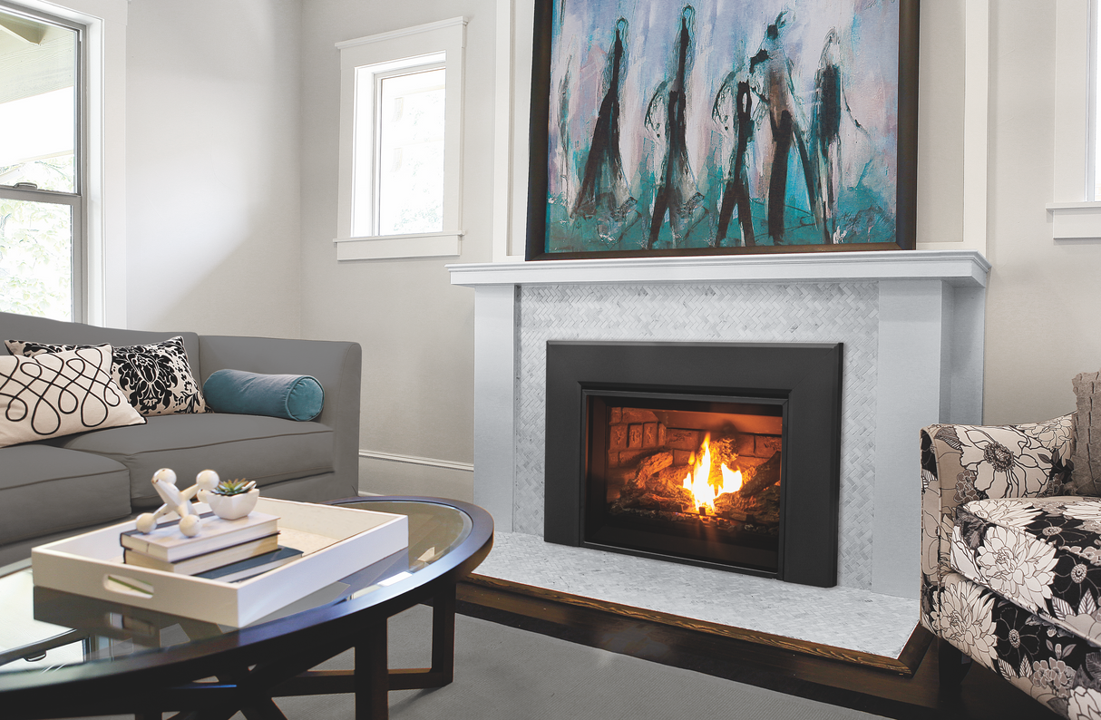 E25 Gas Fireplace Insert