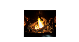 U37 Fuel Bed (Glass Burner)