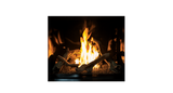 U44 Fuel Bed (Glass Burner)